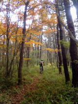 落ち葉サクサク！　紅葉の赤城山を下る