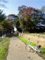 水と緑のふれあいロードを周回しよう♪