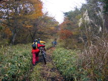 紅葉の赤城山西面を走る！