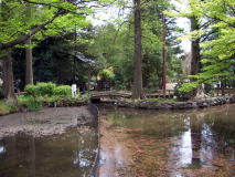 神田川＆善福寺川＆千川上水