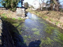 荒川上流探訪（吹上〜寄居編）