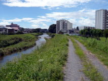 入間市　里山・茶畑・湧水満喫の旅