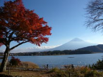 河口湖で紅葉と富士山満喫オフ