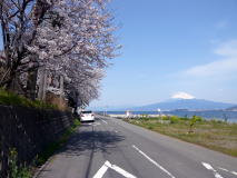 伊豆半島１周（西伊豆編）