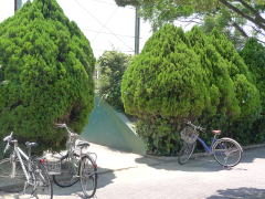 20110716-0211.jpg