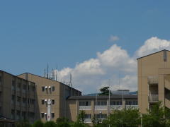 20110716-0391.jpg