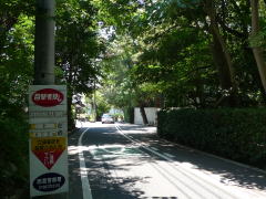 20110716-0671.jpg