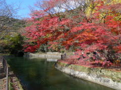 琵琶湖疏水と紅葉の京都サイクリング