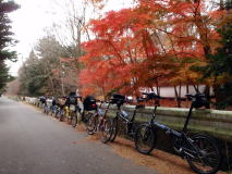 紅葉の軽井沢でバイクフライデーミーティング