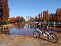 さいたま市の水路跡巡りポタリング