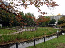 東京下町・運河跡の親水公園巡り